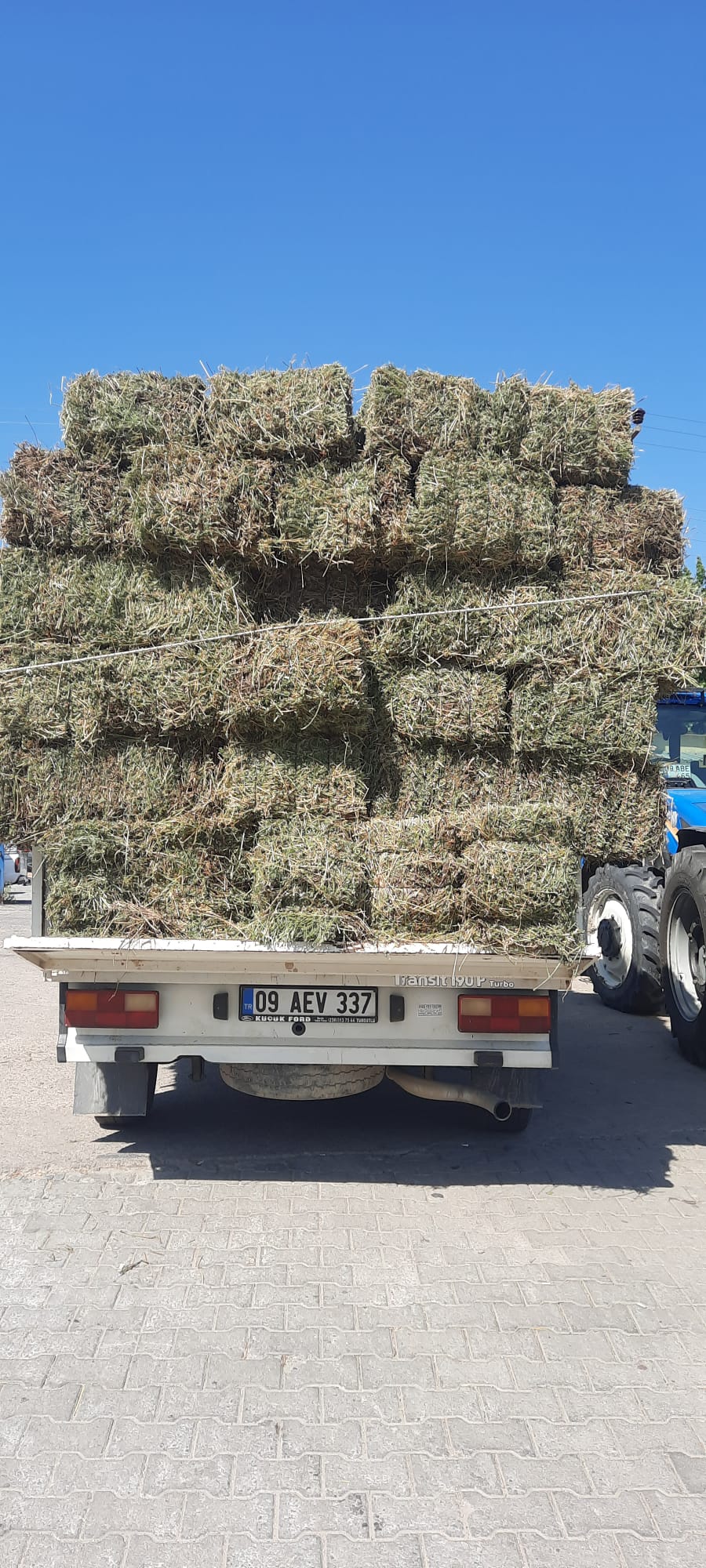 Sorgum Silajı